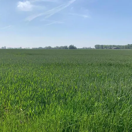 Lejlighed Romantic Coastal Escape