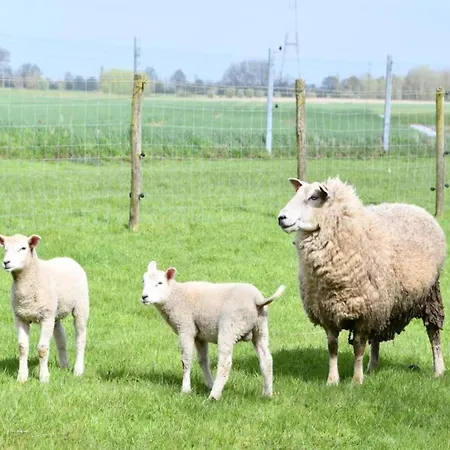 Lejlighed Romantic Coastal Escape Nieuwpoort