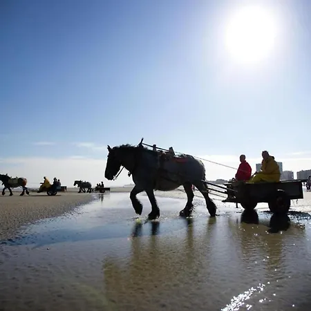 Romantic Coastal Escape Lejlighed