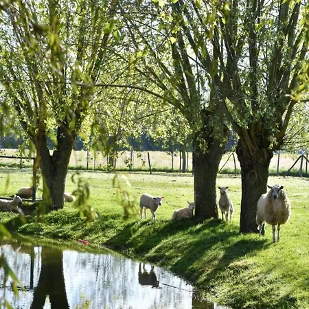 Romantic Coastal Escape Lejlighed