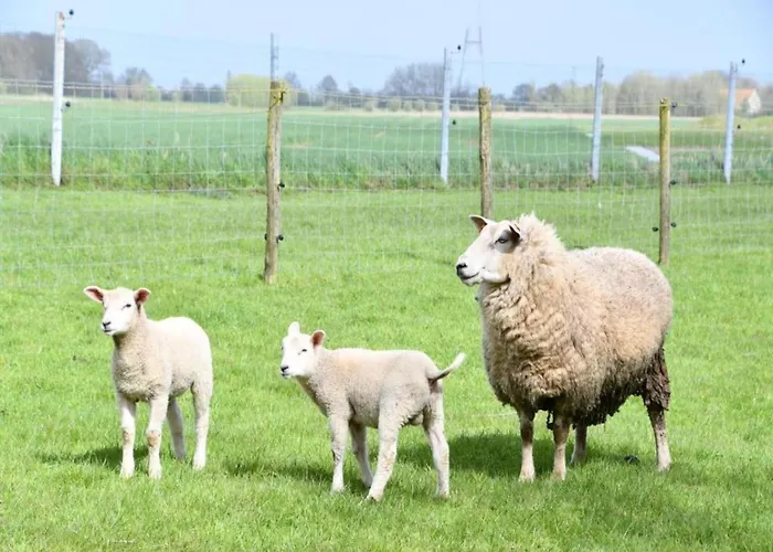 Apartment Romantic Coastal Escape Nieuwpoort